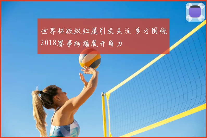 世界杯版权归属引发关注 多方围绕2018赛事转播展开角力